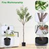 5.9FT Artificial Olive Tree Tall Fake Olive Plant Faux Potted Olive Tree with Lush Olive Branches and Fruits with Black Planter Pot for Modern Home Of